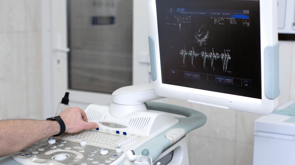 Echo-cardiographie d'un chien à Metz, à la clinique vétérinaire Aunys